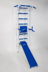 Шведская стенка  BODYSTRAIGHT 3 с брусьями и доской Евминова ( купить ШВЕДСКИЕ СТЕНКИ ДЛЯ ВЗРОСЛЫХ Днепропетровск )